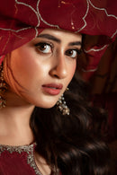 [PE3PC-FRW25118] Umrao-Jann Maroon - Luxe Raw Silk Chiffon 3-Piece Suit