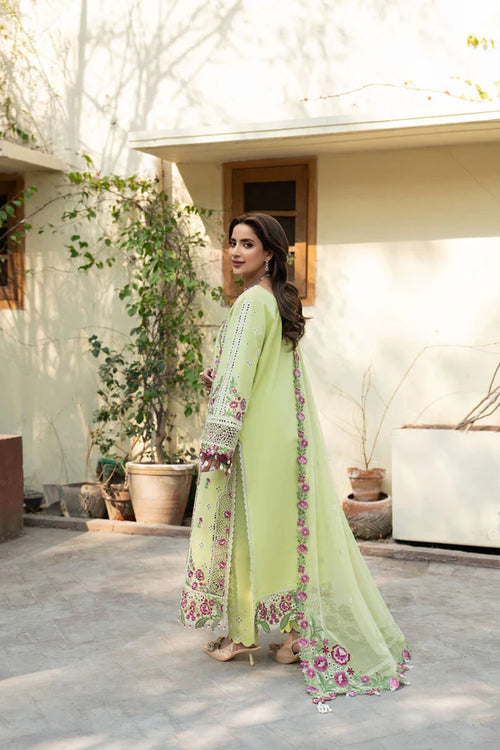 Lime - Eid Collection 3 piece